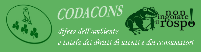 Chiude l'Informagiovani di Francavilla al Mare, Chieti - Il Codacons Abruzzo: "Assurdo!"